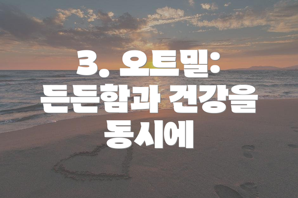 3. 오트밀:  든든함과 건강을 동시에