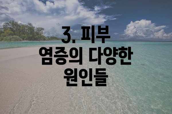 3. 피부 염증의 다양한 원인들