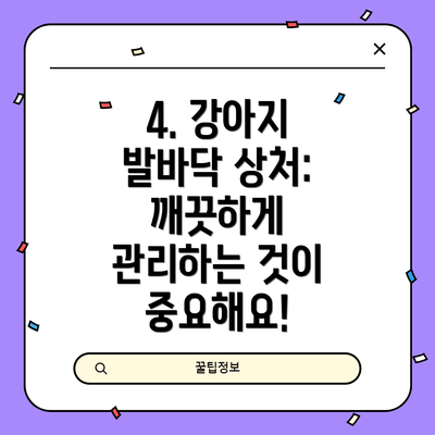 4. 강아지 발바닥 상처: 깨끗하게 관리하는 것이 중요해요!