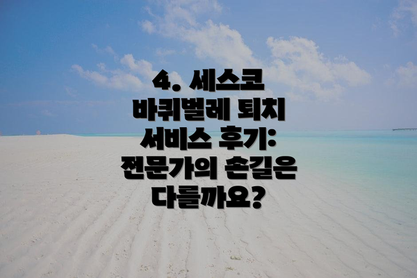 4. 세스코 바퀴벌레 퇴치 서비스 후기:  전문가의 손길은 다를까요?