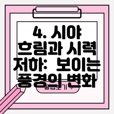 4. 시야 흐림과 시력 저하:  보이는 풍경의 변화