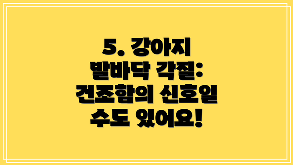 5. 강아지 발바닥 각질: 건조함의 신호일 수도 있어요!