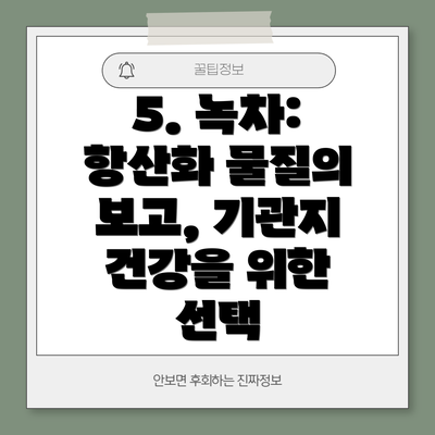 5. 녹차: 항산화 물질의 보고, 기관지 건강을 위한 선택