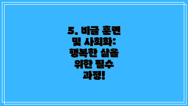 5. 비글 훈련 및 사회화: 행복한 삶을 위한 필수 과정!