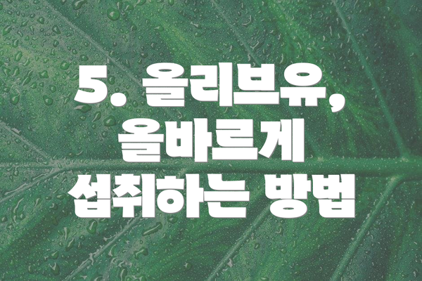 5. 올리브유, 올바르게 섭취하는 방법