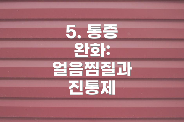 5. 통증 완화: 얼음찜질과 진통제