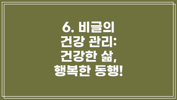 6. 비글의 건강 관리:  건강한 삶, 행복한 동행!
