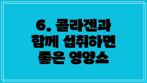 6. 콜라겐과 함께 섭취하면 좋은 영양소