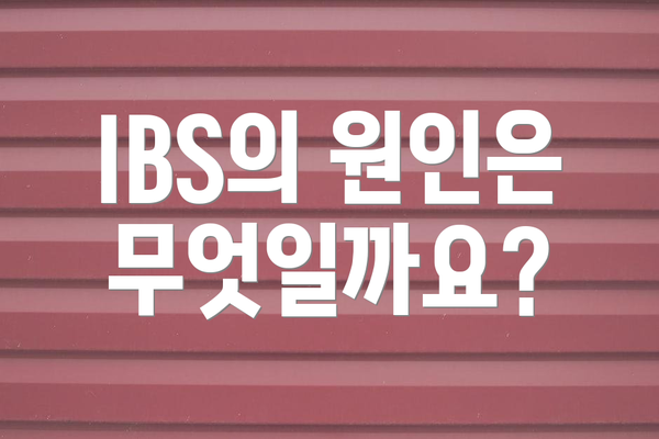 IBS의 원인은 무엇일까요?