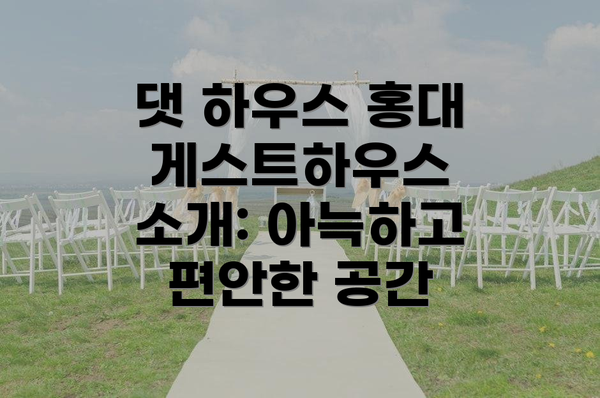 댓 하우스 홍대 게스트하우스 소개: 아늑하고 편안한 공간