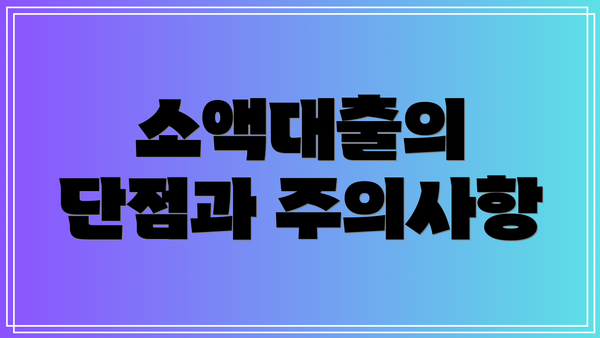 소액대출의 단점과 주의사항