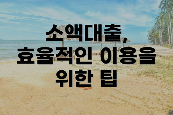 소액대출, 효율적인 이용을 위한 팁