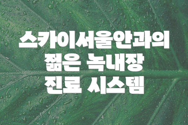 스카이서울안과의 젊은 녹내장 진료 시스템