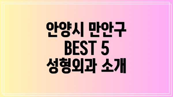 안양시 만안구 BEST 5 성형외과 소개