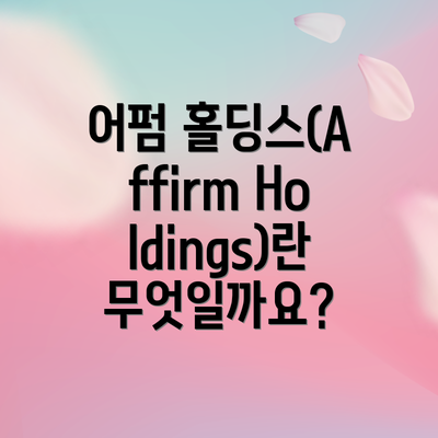 어펌 홀딩스(Affirm Holdings)란 무엇일까요?
