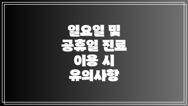 일요일 및 공휴일 진료 이용 시 유의사항