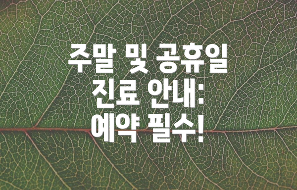 주말 및 공휴일 진료 안내: 예약 필수!