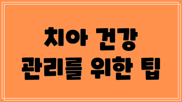 치아 건강 관리를 위한 팁