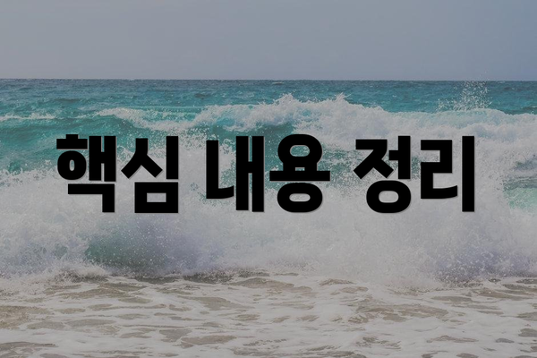 핵심 내용 정리