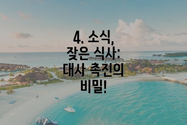 4. 소식, 잦은 식사: 대사 촉진의 비밀!