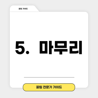 5.  마무리
