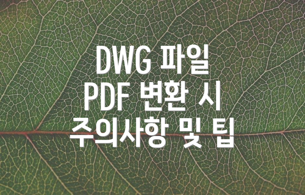 DWG 파일 PDF 변환 시 주의사항 및 팁