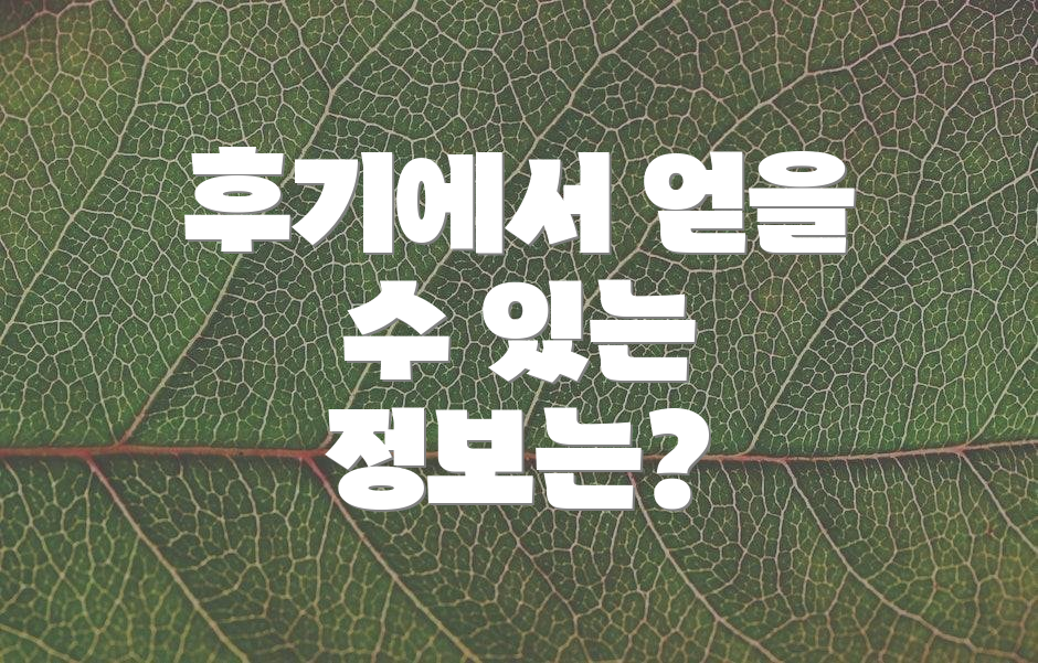 후기에서 얻을 수 있는 정보는?