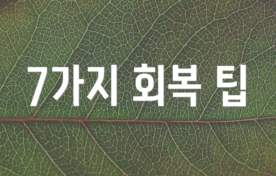 7가지 회복 팁