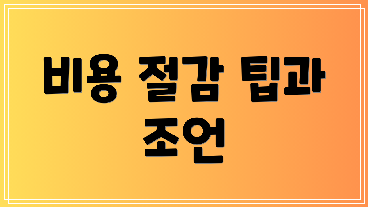 비용 절감 팁과 조언