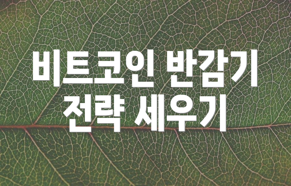 비트코인 반감기 전략 세우기