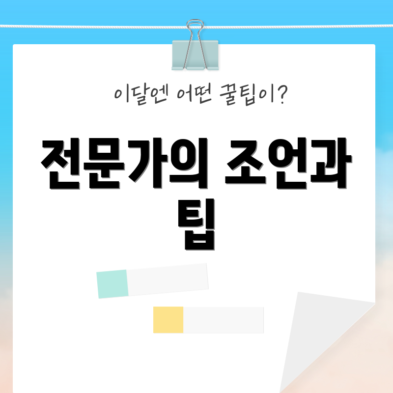 전문가의 조언과 팁