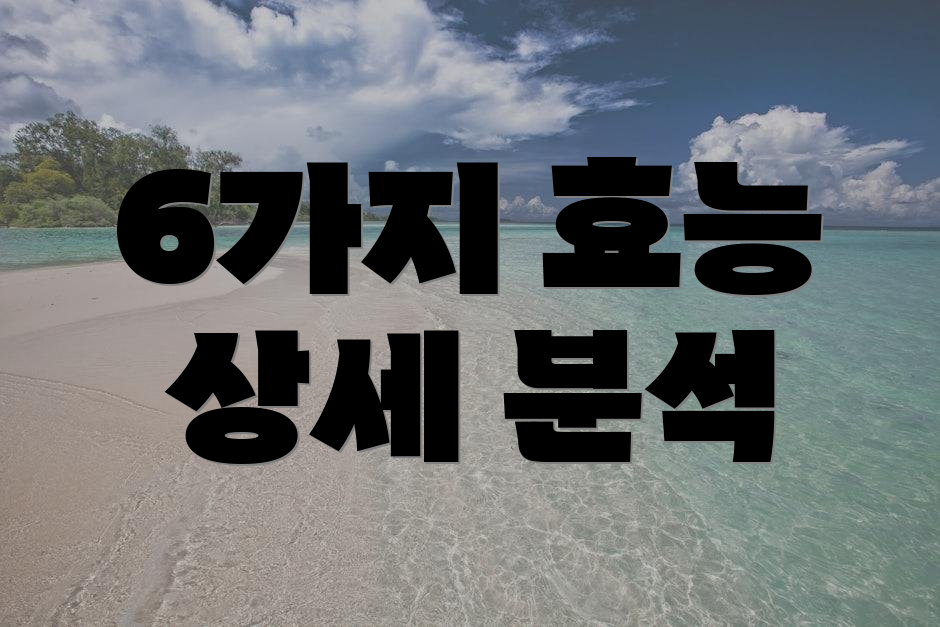 6가지 효능 상세 분석