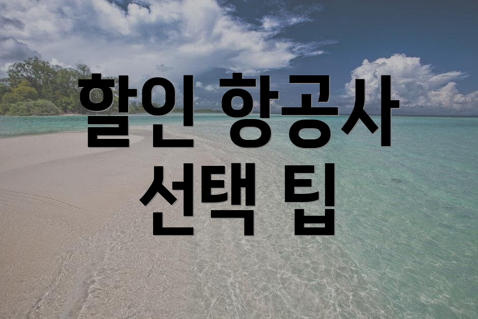할인 항공사 선택 팁