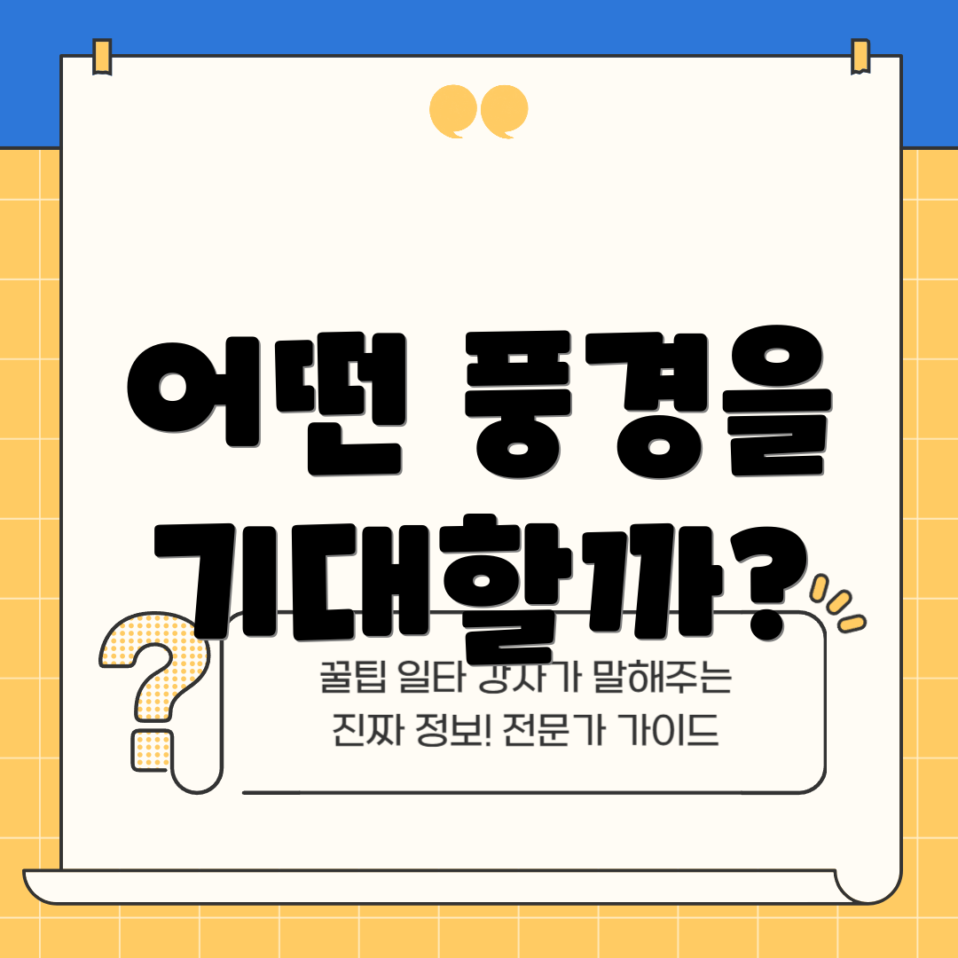 어떤 풍경을 기대할까?