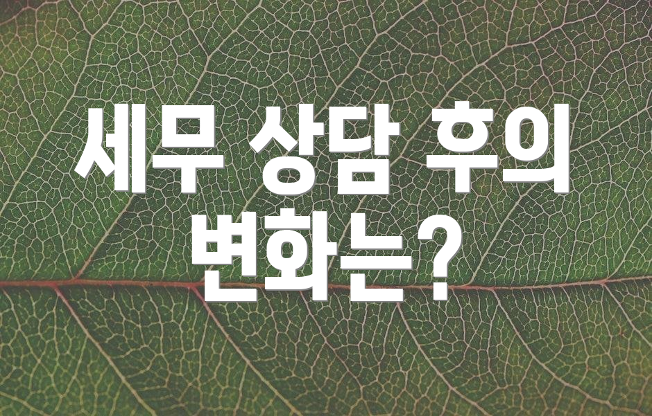 세무 상담 후의 변화는?