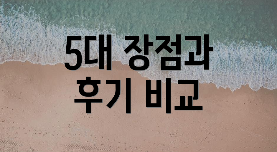 5대 장점과 후기 비교