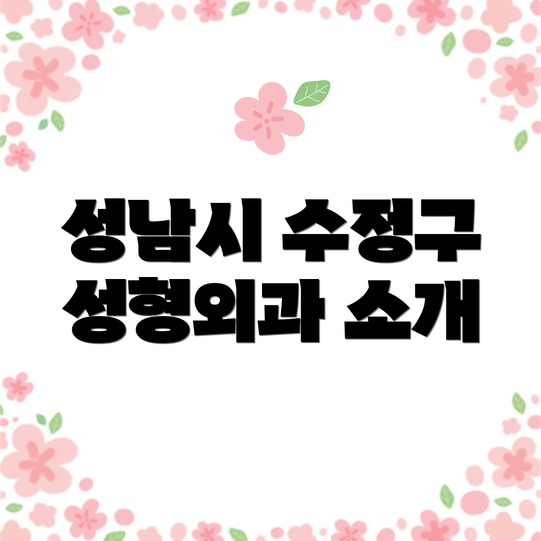 성남시 수정구 성형외과 소개