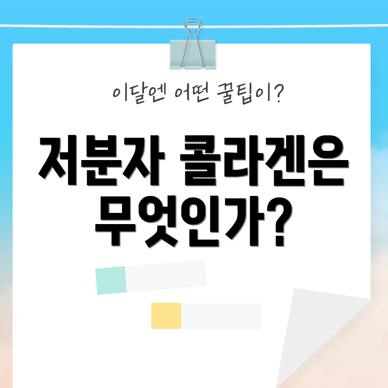 저분자 콜라겐은 무엇인가?
