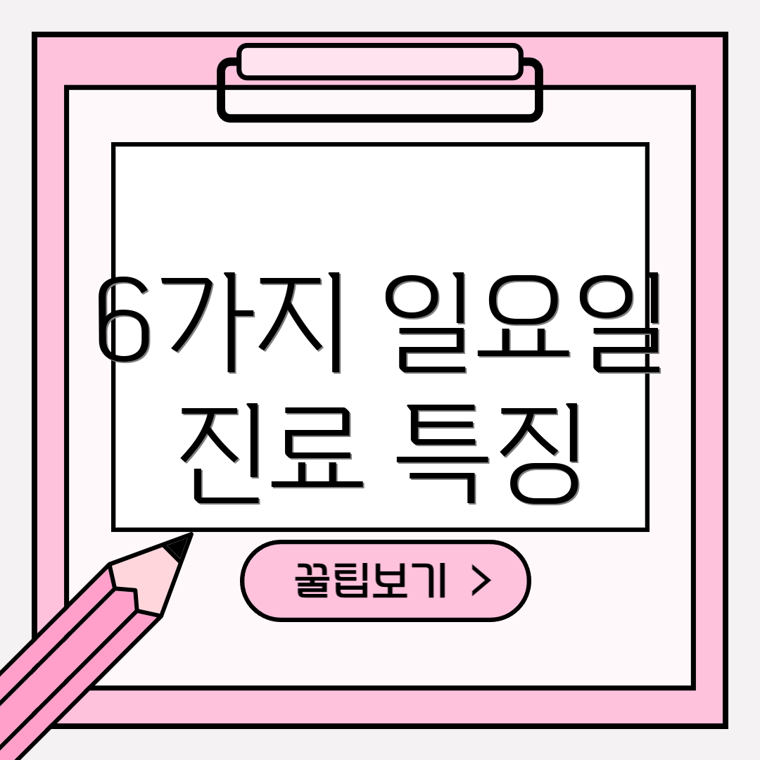 6가지 일요일 진료 특징