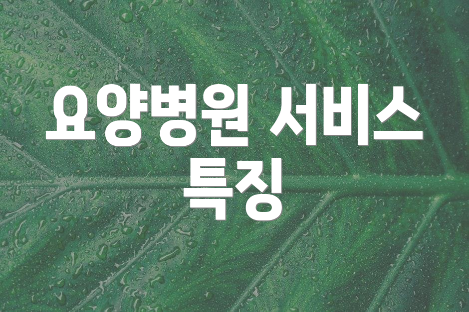 요양병원 서비스 특징