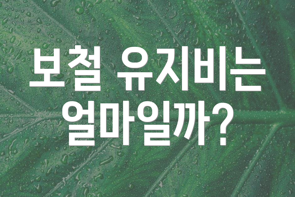 보철 유지비는 얼마일까?