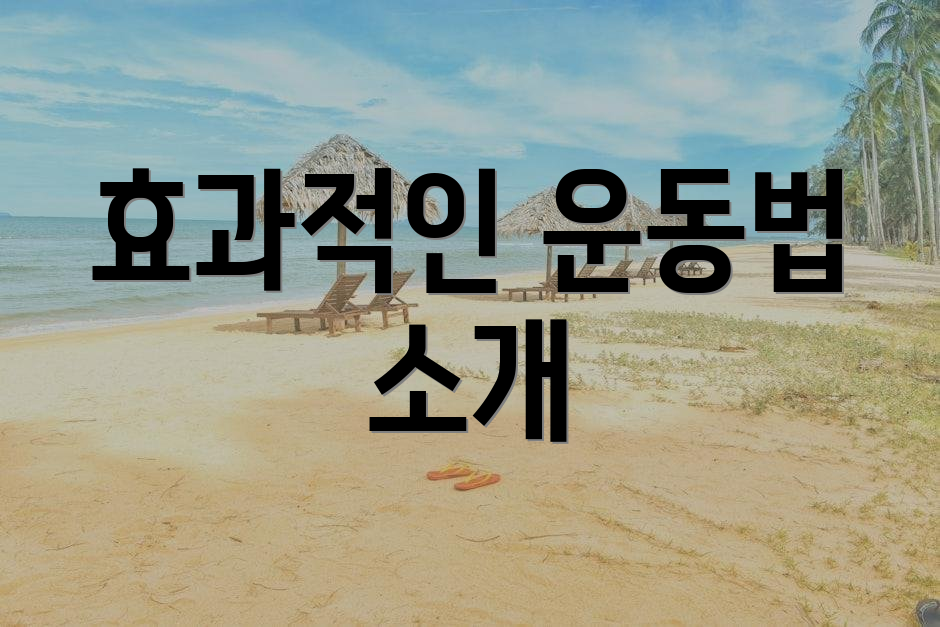 효과적인 운동법 소개