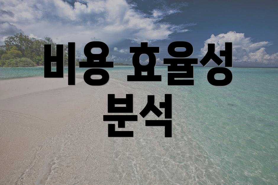 비용 효율성 분석
