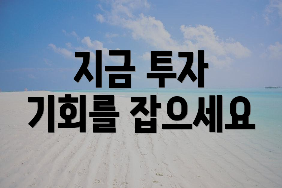 지금 투자 기회를 잡으세요