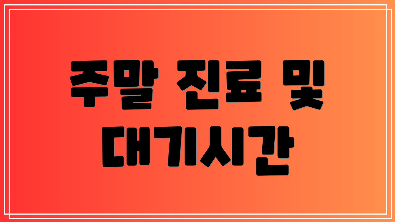 주말 진료 및 대기시간