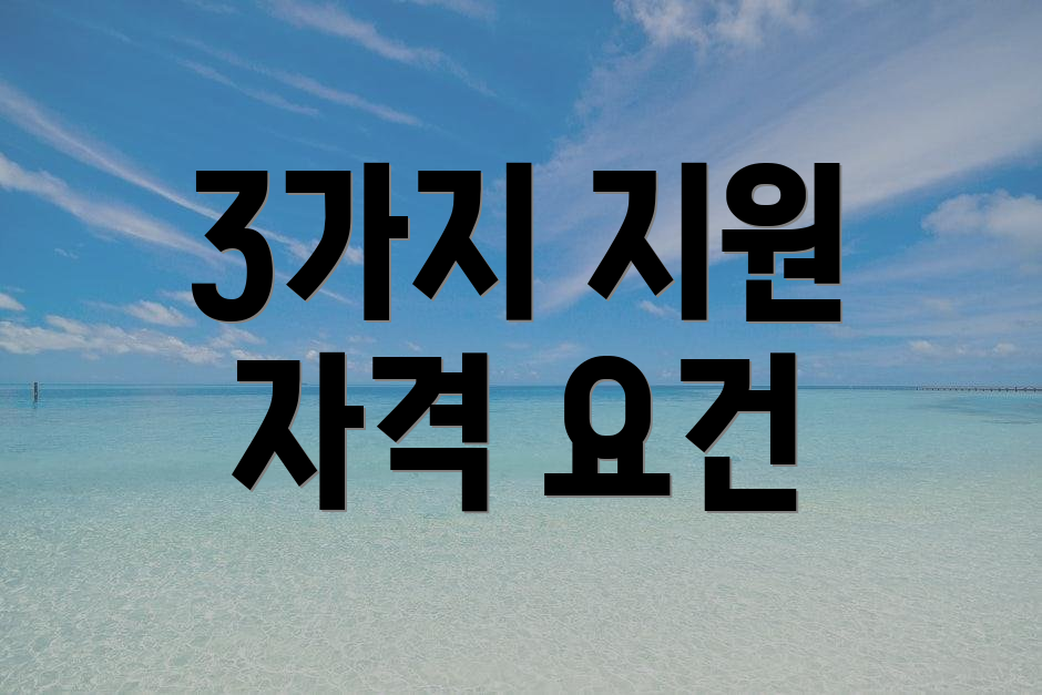 3가지 지원 자격 요건