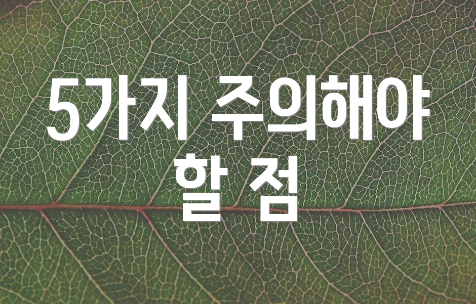 5가지 주의해야 할 점