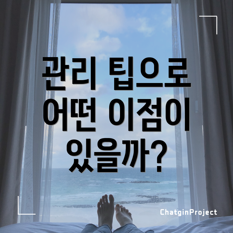 관리 팁으로 어떤 이점이 있을까?