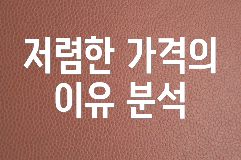 저렴한 가격의 이유 분석