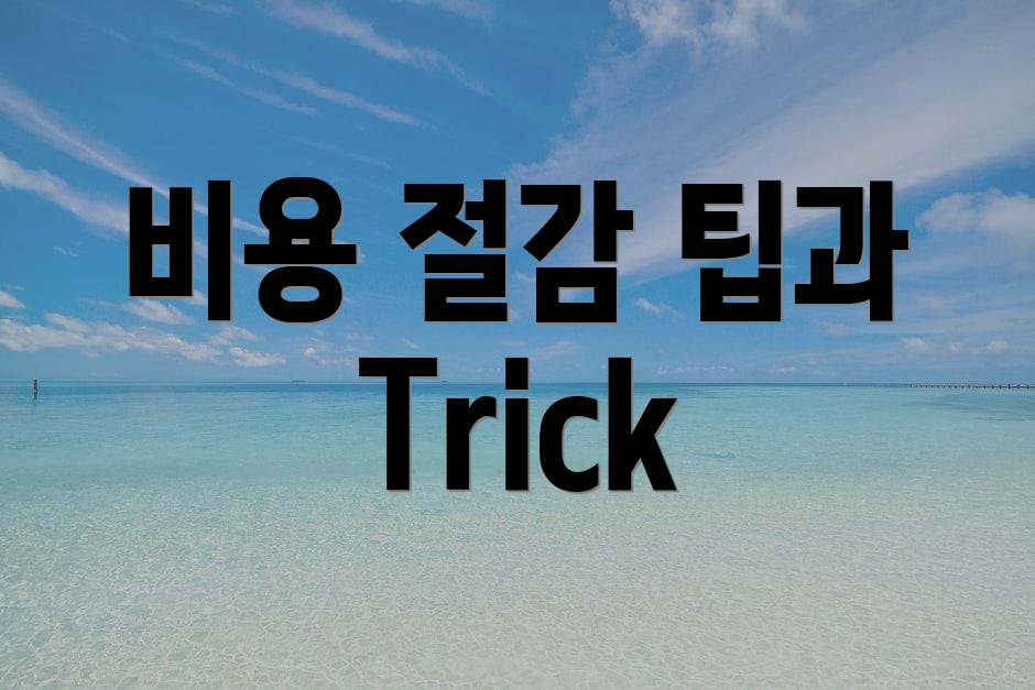 비용 절감 팁과 Trick